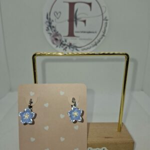 Boucles d’oreilles 650